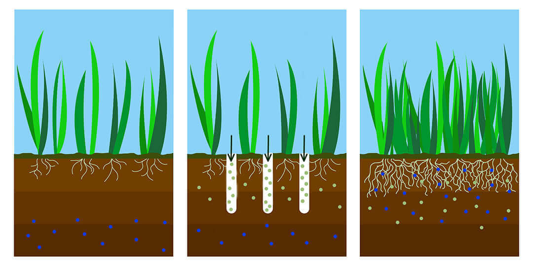 Healthy Lawn Full Website (Copy, 234 selected)