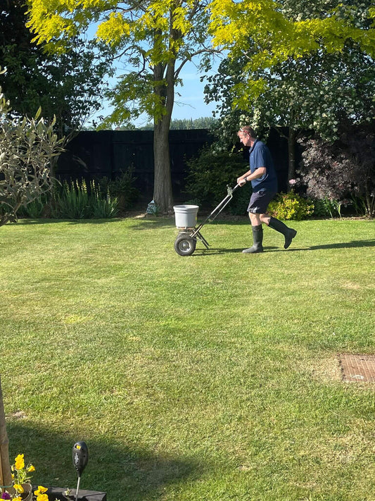 Bucket spreader applying granular lawn fertiliser across a green lawn