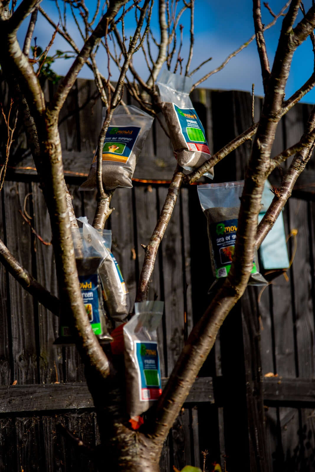 Packs of Mowd autumn lawn fertiliser beside a bare autumn tree