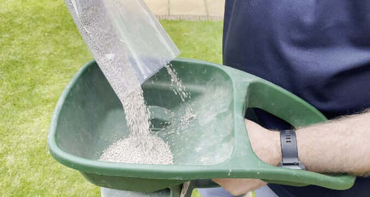 Pouring granular lawn feed into a handheld spreader to feed a UK lawn