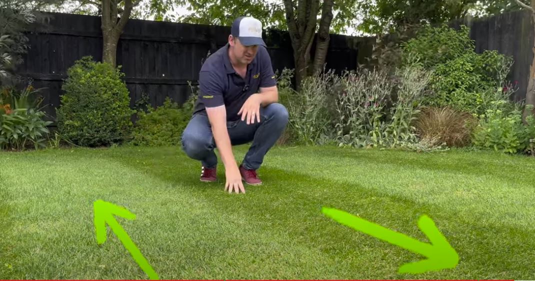 Striped lawn with crisp light and dark mowing stripes