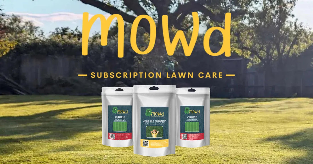 Mowd seasonal lawn care calendar and treatments for a healthy UK lawn
