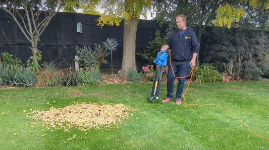 Mowd's Richie with Hyundai Leaf blower and a pile of leaves
