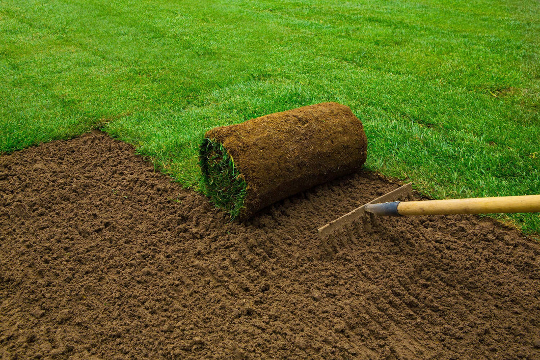 a roll of turf being applied to a prepared surface.