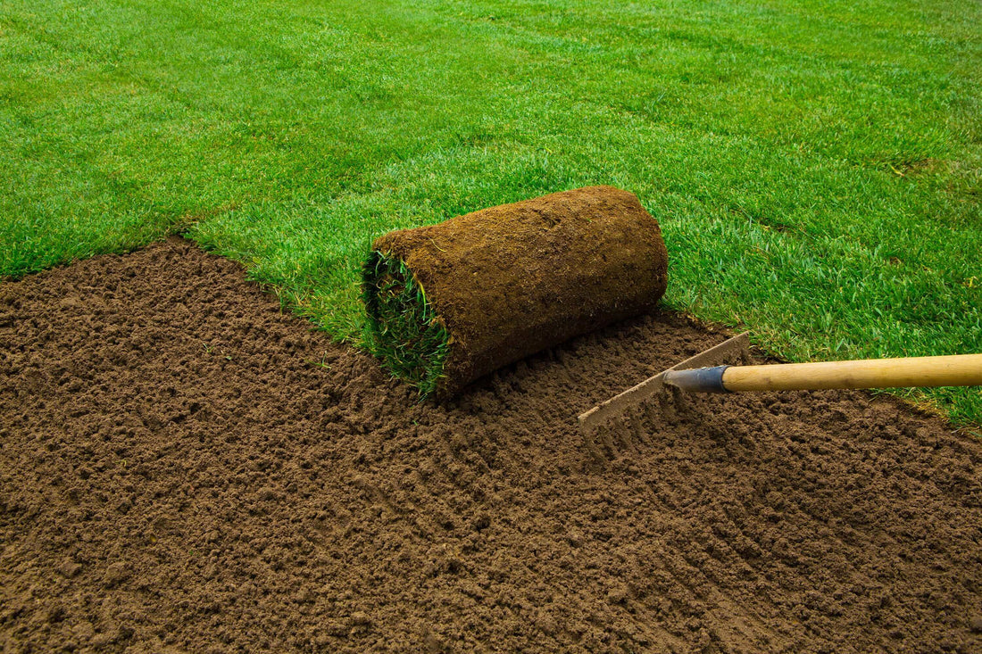 a roll of turf being applied to a prepared surface.