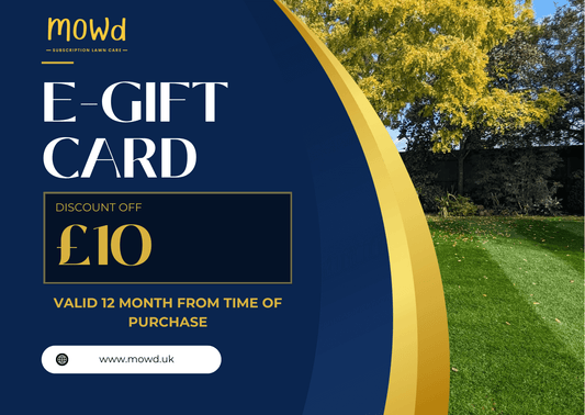 £10 Mowd e-gift card