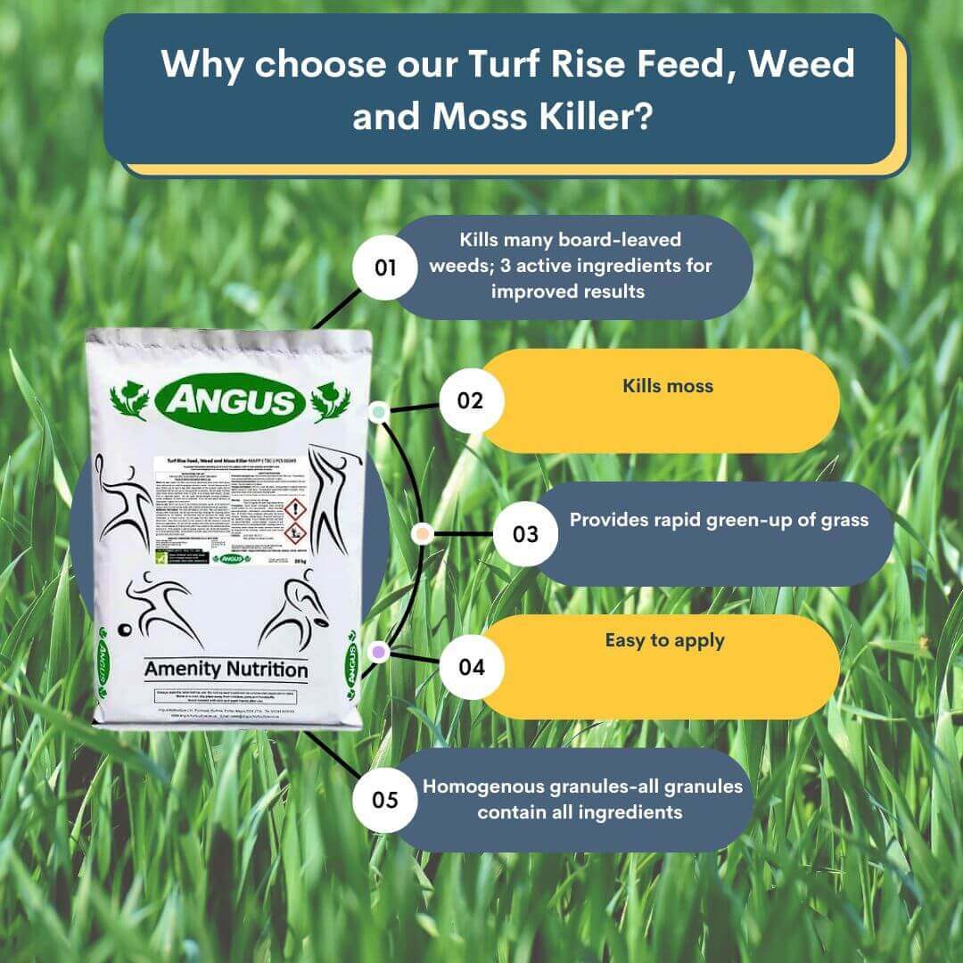 Turf Rise 1kg Lawn Feed, Weed & Moss Killer