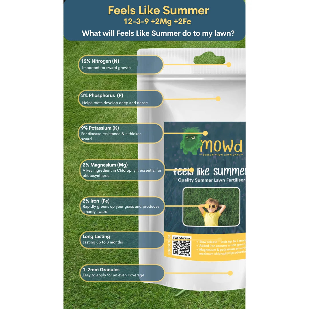 Feels like Summer summer lawn feed applied to a green lawn