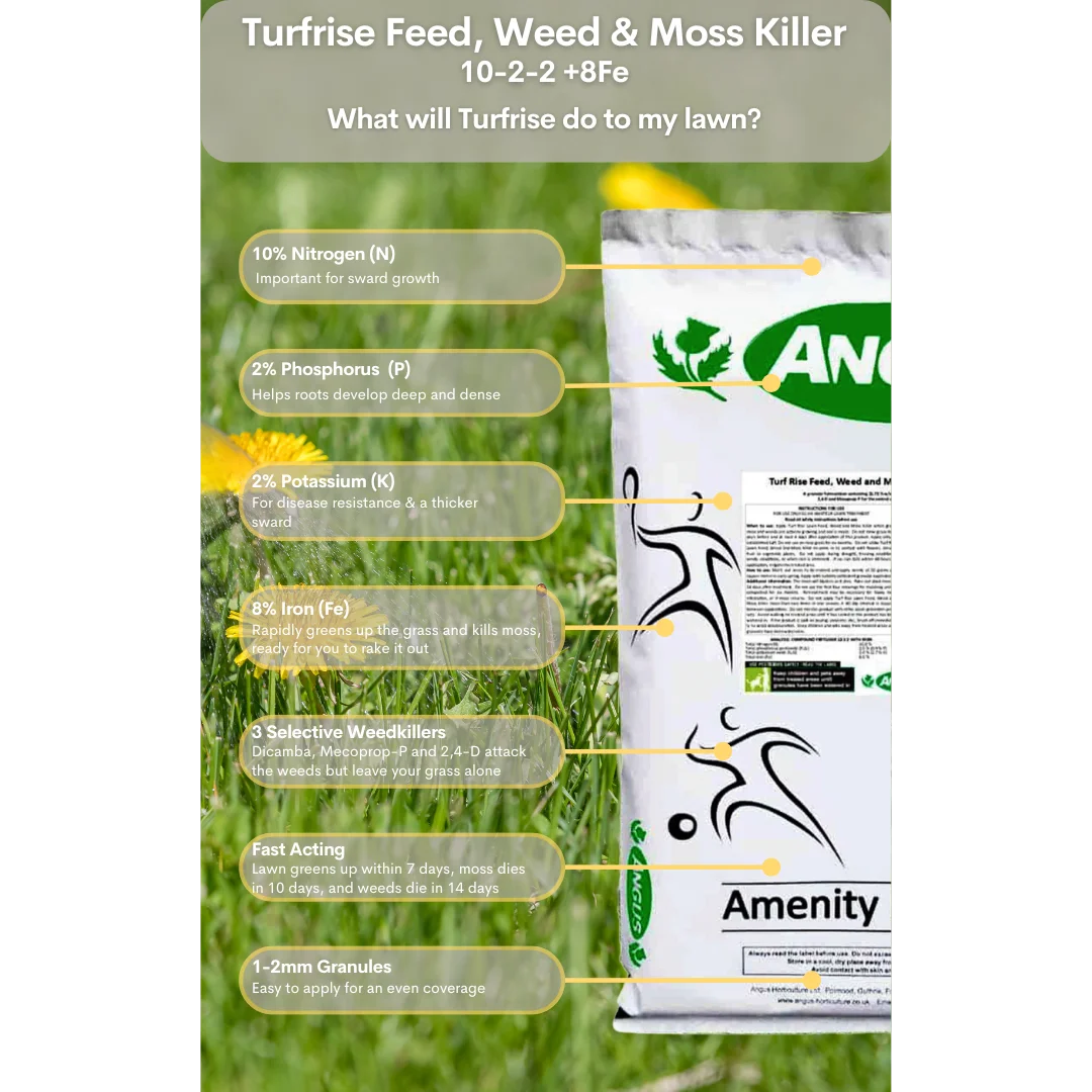 Turf Rise granular weed feed and moss killer