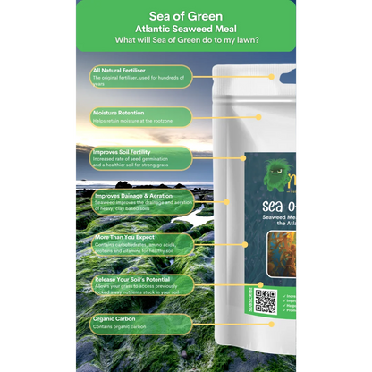 Sea of Green seaweed meal granules