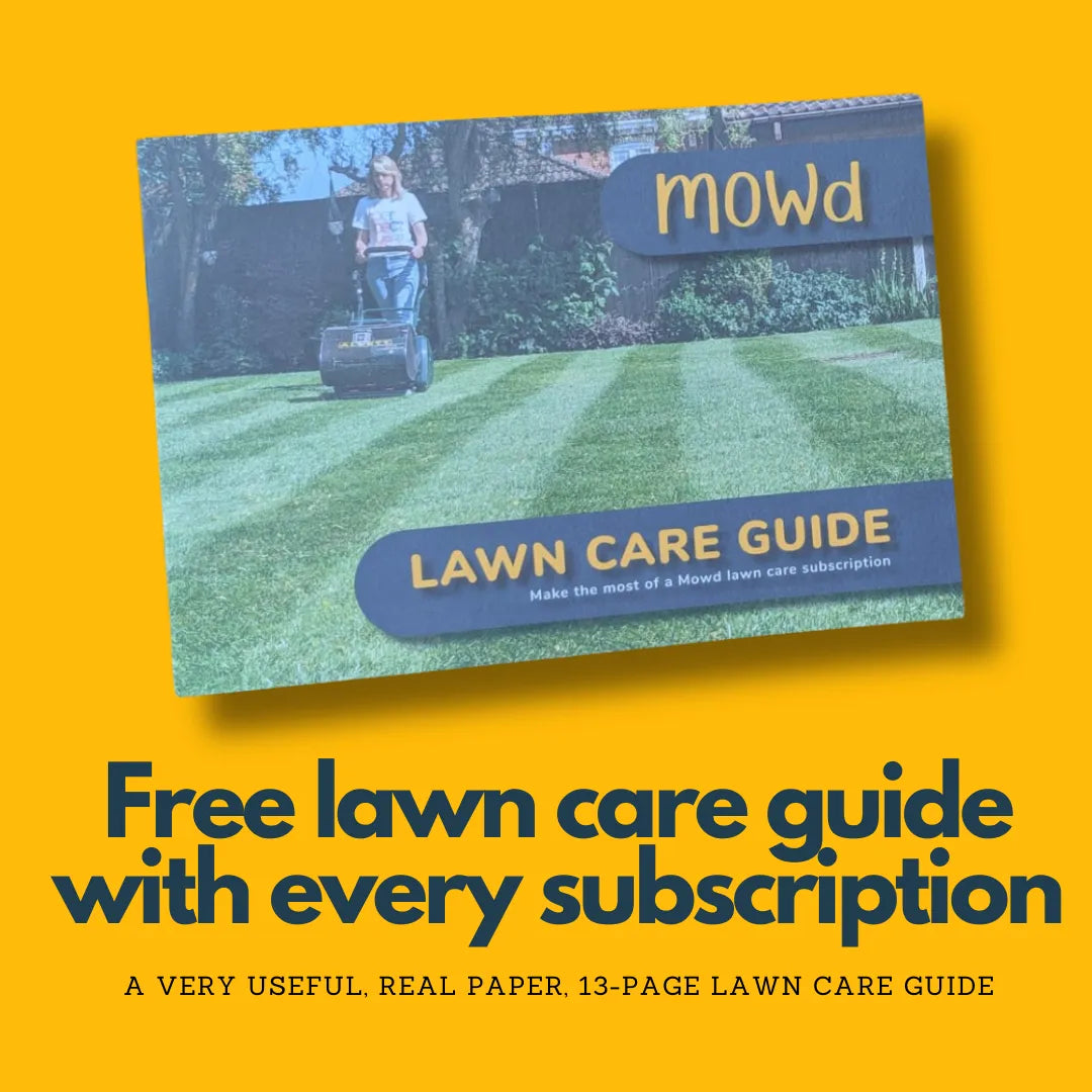 Level-Up Lawn Care Subscription v2 - for Big Lawns (600m2+)