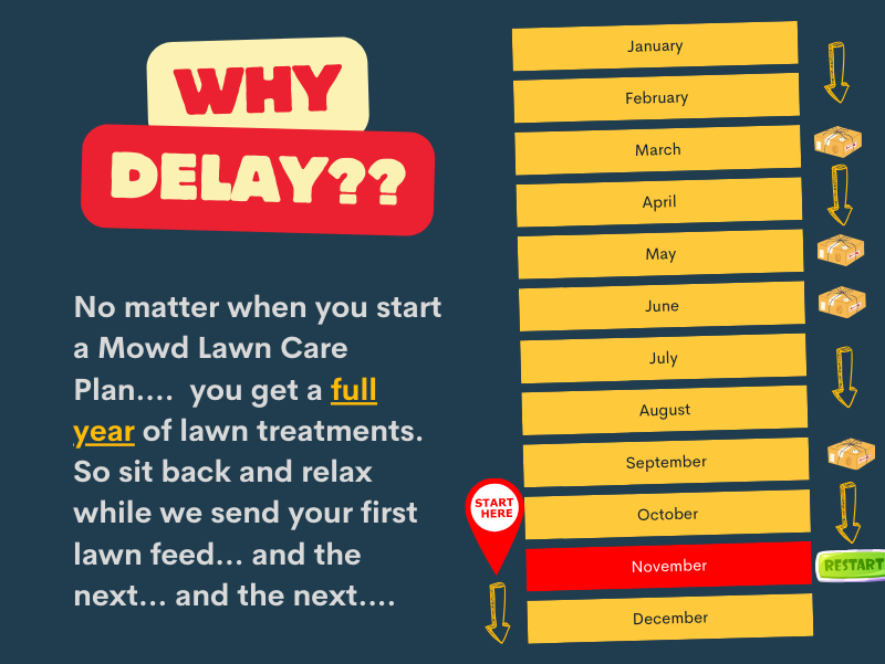 Basic Lawn Care Subscription v2