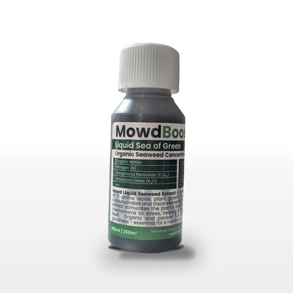 MowdBoost Sea of Green Liquid organic seaweed concentrate, 100ml bottle