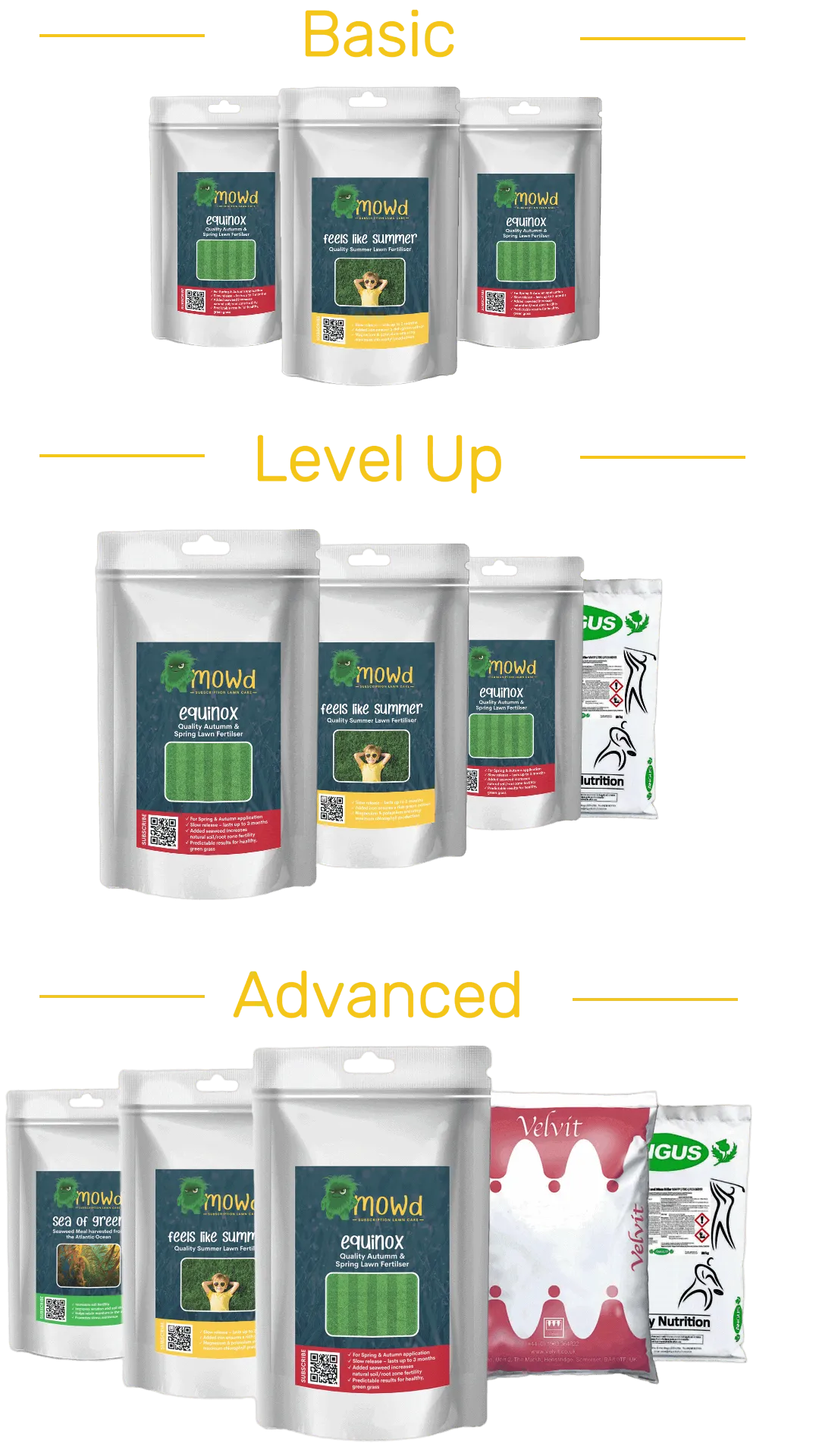 Basic Lawn Care Subscription