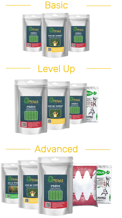 Basic Lawn Care Subscription