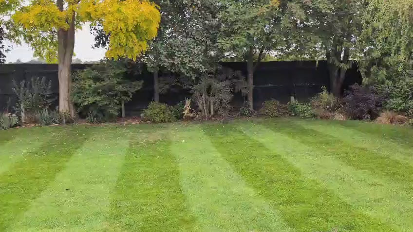 Totally Autumn - Autumn Lawn Fertiliser 10-5-10 +2MgO